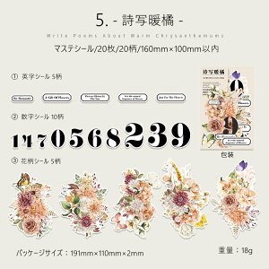 o R[W V[ [WTCY 傫  ԕ  p }XeV[ R[W f V[ COV[ l 킢 KN [Y A _ z XNbvubLO 