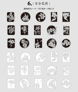 o COV[ NAV[  zCg   mg[  ϐ PET t[NV[ R[W f CO XebJ[ Zbg fR[V NA PETf A  t