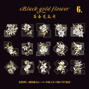 o   ̊  t[NV[ COV[ V[ NAV[   mg[ ϐ PET R[W f COXebJ[ fR[V NA A  t