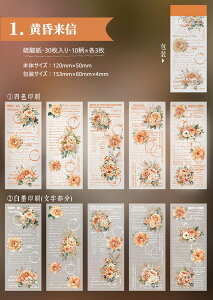 o fގ gy f _y[p[ COfUCy[p[ fގubN 30/  R[Wf y[p[ wi CO m AeB[N p ԕ  W