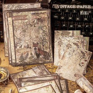 o COfUCy[p[ Be[W y[p[ R[Wf y[p[ wi fގ  pbh  AeB[N R[W f g  ԕ Cm [X 