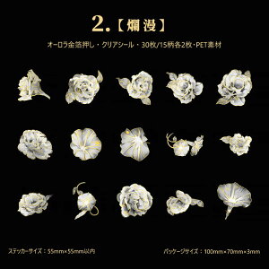 o  R[Wf V[ NAV[ COXebJ[  ԕ PETf ϐV[ t[NV[ R[W f  XebJ[ 3015 KN [Y e  