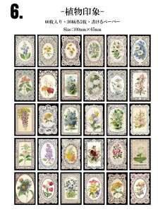 o [X fUCy[p[ 60/ wi fގ ubN  R[Wf R[W f g Ԃ̗d ~V A[g O  ~[V l   唻 [X t