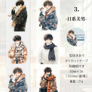 即日出荷 人物シール 30枚 男の子 男性 男子 少男 少年 彼氏 男 おとこ イラストシール イラストステッカー クリアシール マット PETシール コラージュ素材 人物 おしゃれ デコレーション 耐水