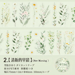 o ^ L75mm _CJbge[v NAe[v ԕ t  ` ԕV[ t[NV[ ϐV[ R[Wf 킢 ϐ }XLOe[v R[WV