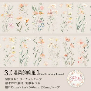 o ^ L75mm _CJbge[v NAe[v ԕ t  ` ԕV[ t[NV[ ϐV[ R[Wf 킢 ϐ }XLOe[v R[WV