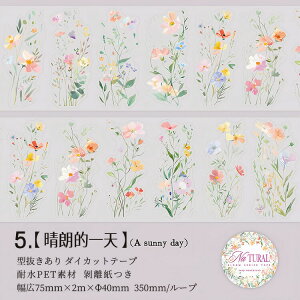 o ^ L75mm _CJbge[v NAe[v ԕ t  ` ԕV[ t[NV[ ϐV[ R[Wf 킢 ϐ }XLOe[v R[WV