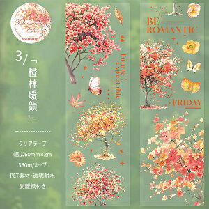 o NAe[v L60mm   p ` ʉ A    A c[ CXg V[ 1{̖ H̖ sN̖ JtȖ R[Wf V[ PET  }XL