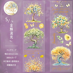 o NAe[v L60mm   p ` ʉ A    A c[ CXg V[ 1{̖ H̖ sN̖ JtȖ R[Wf V[ PET  }XL