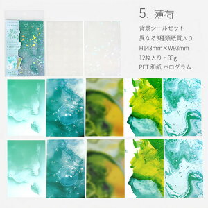 o wiV[ wiV[ ّf  gQ g     F  _ 傫 143×93mm ϐ V[ }XeV[ V[ CO R[Wf  }XL