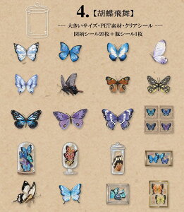 o COXebJ[ 傫TCY V[ CO R[Wf Zbg 21 Ɏq r V[ ϐ V[ hCt[ t[NV[ NA PET WNW[i 蒠 fR X