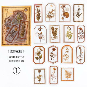 o V[ t[NV[ COV[ 30 R[W f  t[ g g NA V[ PET COXebJ[ fR[V WNW[i 蒠V[ nhC