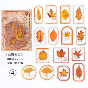 o V[ t[NV[ COV[ 30 R[W f  t[ g g NA V[ PET COXebJ[ fR[V WNW[i 蒠V[ nhC