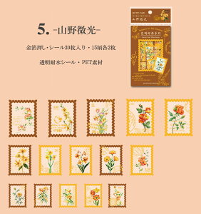 o V[  ؎ t[NV[ NAV[ R[W f ԕ F F ΐF t t[ COXebJ[  X^v V[ 30 PETf XNbvubN