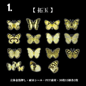 o  t[NV[    NAV[ CO R[W f Zbg fR[V XebJ[  z X o^tC 30 PETf ϐ XNbvubN X