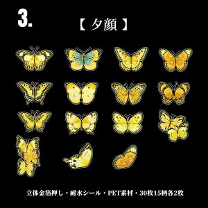 o  t[NV[    NAV[ CO R[W f Zbg fR[V XebJ[  z X o^tC 30 PETf ϐ XNbvubN X