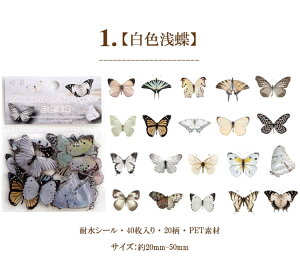 o COXebJ[ t[NV[  R[W f Zbg fR[V  NAV[  COV[ X o^tC 40 PET ϐ WNW[i L 蒠 X}