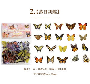 o COXebJ[ t[NV[  R[W f Zbg fR[V  NAV[  COV[ X o^tC 40 PET ϐ WNW[i L 蒠 X}