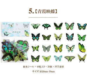 o COXebJ[ t[NV[  R[W f Zbg fR[V  NAV[  COV[ X o^tC 40 PET ϐ WNW[i L 蒠 X}