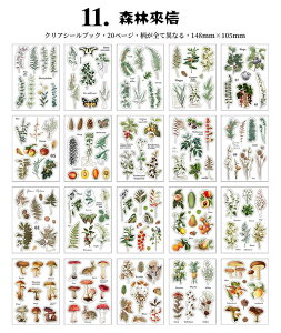 o V[ubN e NAV[ ubN CO XebJ[ubN 20  V[V[g R[W f 蒠 fR PET t[NV[ fR[V g r {g [X l 