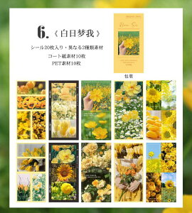 o CO V[ubN e ّf 20Â ^ R[Wf Zbg PET V[ ϐ COV[ t[ V[ COXebJ[ W[i fR[V f w