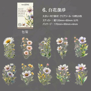 o NAV[ 傫 ʃ^b` ` ԕ [WTCY R[Wf V[ ԕ A PET ϐ V[ 20 c120mmȓ R[W f V[ ʉ  CXg  