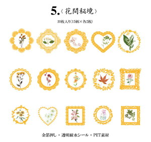 o  NAV[ z g t[ V[ COXebJ[ g R[W f Zbg fR[V WNW[i AeB[N COV[ ϐ  KN [Y 