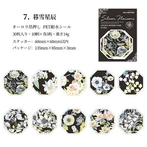 o NAV[ ┓ I[ 30 R[W f   t[ ϐ COV[ t[NV[ V[ R[Wf PETf 蒠 V[  I[ XebJ[