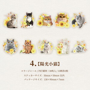 [ NAV[  XebJ[ ϐ PETf COR[W f Zbg hA       g z ԕ [X L  30 R[Wf NAXebJ[ fR V[