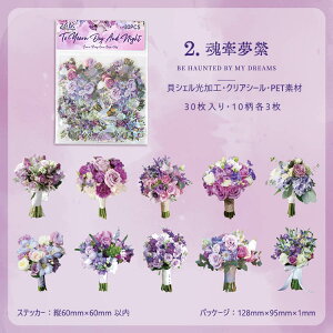 o NAV[  LVFH u[P ԑ ԕ CXgV[ R[Wf [Y KN V[ ԗ C PETV[  ϐ V[ 傫 COXebJ[ 30 