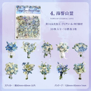 o NAV[  LVFH u[P ԑ ԕ CXgV[ R[Wf [Y KN V[ ԗ C PETV[  ϐ V[ 傫 COXebJ[ 30 