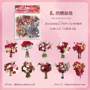 o NAV[  LVFH u[P ԑ ԕ CXgV[ R[Wf [Y KN V[ ԗ C PETV[  ϐ V[ 傫 COXebJ[ 30 