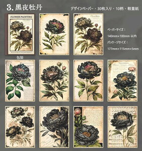 o COfUCy[p[ fގ wi  pbh AeB[N R[Wf [Y KN  z O {^ AWTC Ԓ ԕ [X g g   30