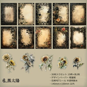 o V[ [Y KN [WTCY 傫 COfUCy[p[ fގ wi  pbh AeB[N R[Wf   ԕ [X g g 30 C