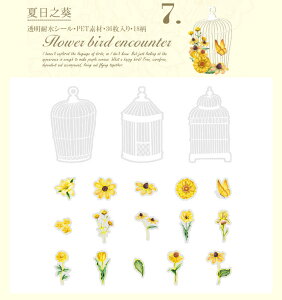 o  V[  V[ COV[ t[NV[ R[Wf   V[  t[  KN [Y COXebJ[ NAV[ 36 PET ϐ WNW