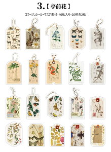 o }XeV[ ^O x uEn 4020 COXebJ[ R[W f V[ AeB[N g  G  ԕ p F [X 莆 CXg _CJbgV[