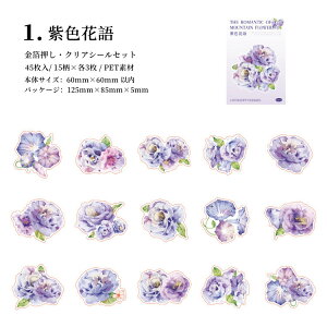 o  COXebJ[ 傫 t[NV[ ԕ NAV[ CO R[W f Zbg  V[ 45 PET ϐ WNW[i XNbvubLO F 