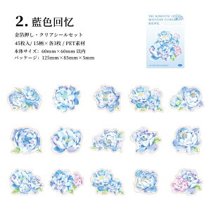 o  COXebJ[ 傫 t[NV[ ԕ NAV[ CO R[W f Zbg  V[ 45 PET ϐ WNW[i XNbvubLO F 