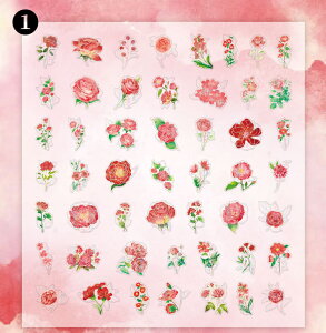 o  NAV[ 5050  t[NV[ CO V[ R[W f V[  t[ ԕ A KN [Y COXebJ[ sN bh  u[ F P