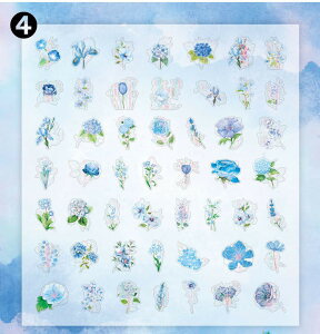 o  NAV[ 5050  t[NV[ CO V[ R[W f V[  t[ ԕ A KN [Y COXebJ[ sN bh  u[ F P