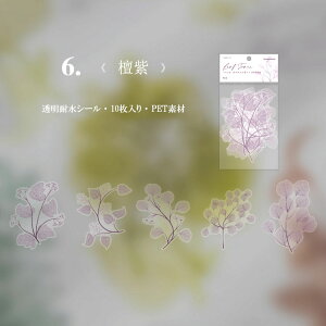 o 傫 V[ t NAV[ R[Wf Zbg PET WNW[i fR[V ϐ  ̊ 蒠 F  hC t G H zCg CO