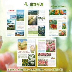 o ^ V[V[g 10V[g 100ȏ 傫 e ّf }XeV[ R[h Jbg R[W f V[ p ̖͗l i INS Ins Ri  L e 