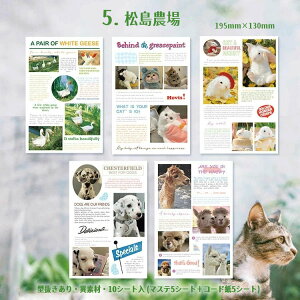 o ^ V[V[g 10V[g 100ȏ 傫 e ّf }XeV[ R[h Jbg R[W f V[ p ̖͗l i INS Ins Ri  L e 