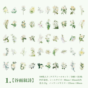 o 100 NAV[ KN [Y z AWTC Ђ܂ t  ԕ e t[ A ϐ t[NV[ R[Wf ϐV[ WNW[i fR[V