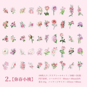 o 100 NAV[ KN [Y z AWTC Ђ܂ t  ԕ e t[ A ϐ t[NV[ R[Wf ϐV[ WNW[i fR[V