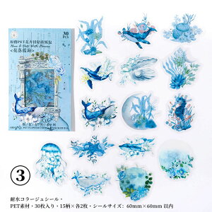 o NAV[ R[W f  V[ 30      ԕ G [ NW Cm r  ϗtA 蕨 ϐ t[NV[ XNbvubLO