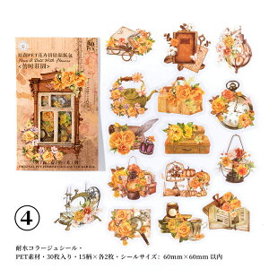 o NAV[ R[W f  V[ 30      ԕ G [ NW Cm r  ϗtA 蕨 ϐ t[NV[ XNbvubLO