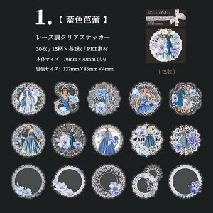 [ lV[ NAV[ [X l O   PETf  ϐ R[W V[ 30 ԕ g t[ XebJ[  zCg CO R[W f XNbvubLO 