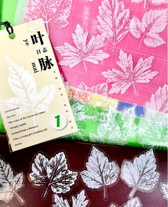 o   t 傫 t NA PETf 30 S8^CvWNW[i R[Wf fRf 蒠fR fR[V  V[ H G h