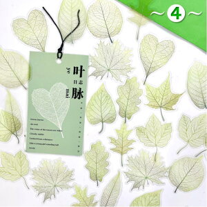 o   t 傫 t NA PETf 30 S8^CvWNW[i R[Wf fRf 蒠fR fR[V  V[ H G h